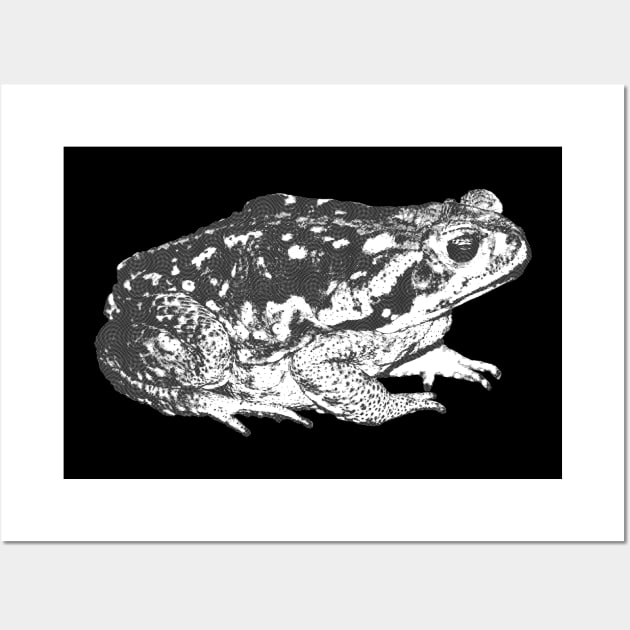 Realistic Frog Toad Amphibian Black Design Wall Art by familycuteycom